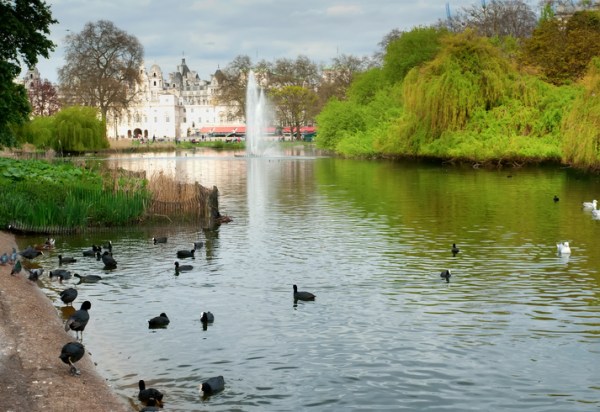 St James Park et son lac